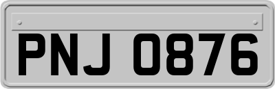 PNJ0876