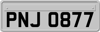 PNJ0877