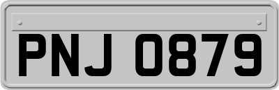 PNJ0879