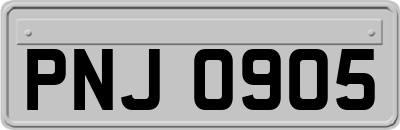 PNJ0905
