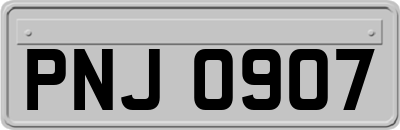 PNJ0907
