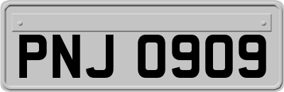 PNJ0909