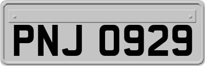 PNJ0929