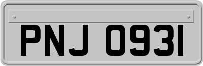 PNJ0931