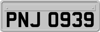 PNJ0939