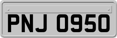 PNJ0950