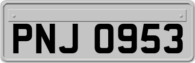 PNJ0953
