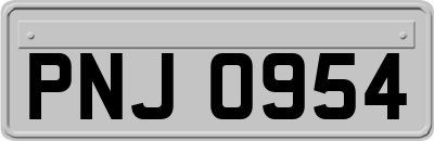 PNJ0954