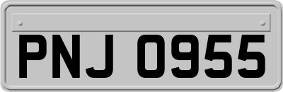 PNJ0955