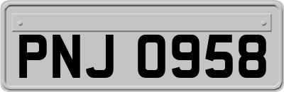 PNJ0958