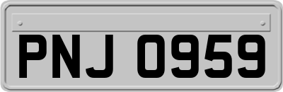 PNJ0959