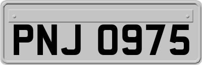 PNJ0975