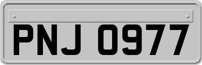PNJ0977