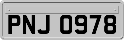 PNJ0978