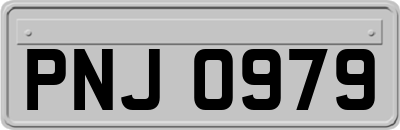 PNJ0979