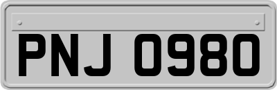 PNJ0980