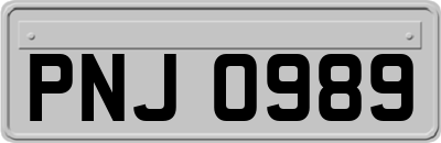 PNJ0989