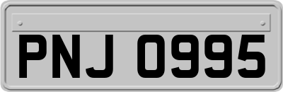 PNJ0995