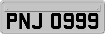 PNJ0999