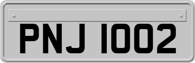 PNJ1002