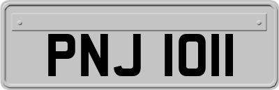 PNJ1011