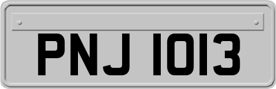 PNJ1013
