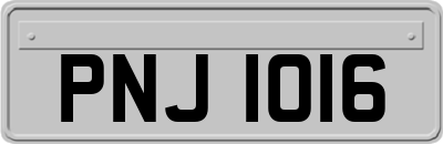 PNJ1016