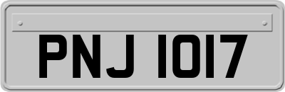 PNJ1017