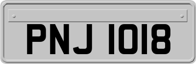 PNJ1018