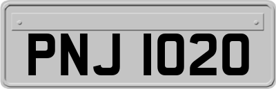 PNJ1020