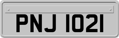 PNJ1021