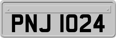 PNJ1024