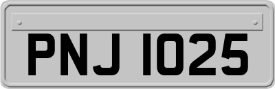 PNJ1025