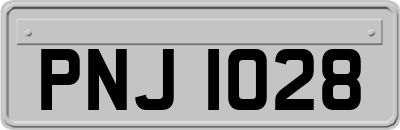 PNJ1028