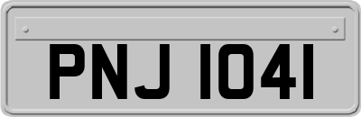 PNJ1041