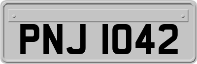 PNJ1042