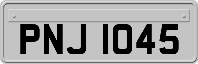 PNJ1045