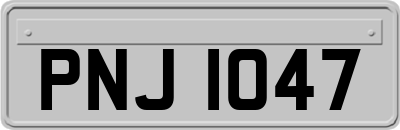 PNJ1047
