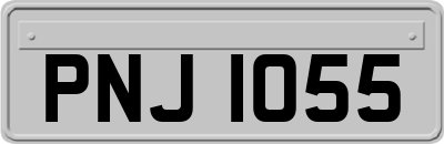PNJ1055
