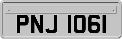 PNJ1061