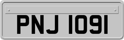 PNJ1091