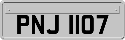 PNJ1107