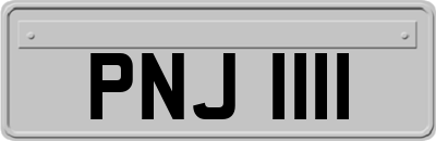 PNJ1111