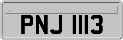 PNJ1113