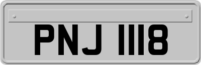 PNJ1118