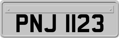 PNJ1123