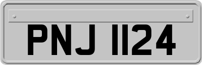 PNJ1124