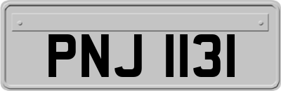 PNJ1131
