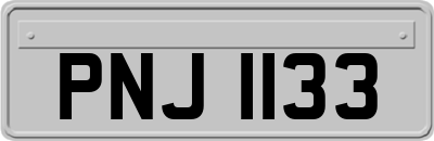 PNJ1133