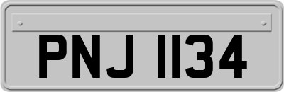 PNJ1134